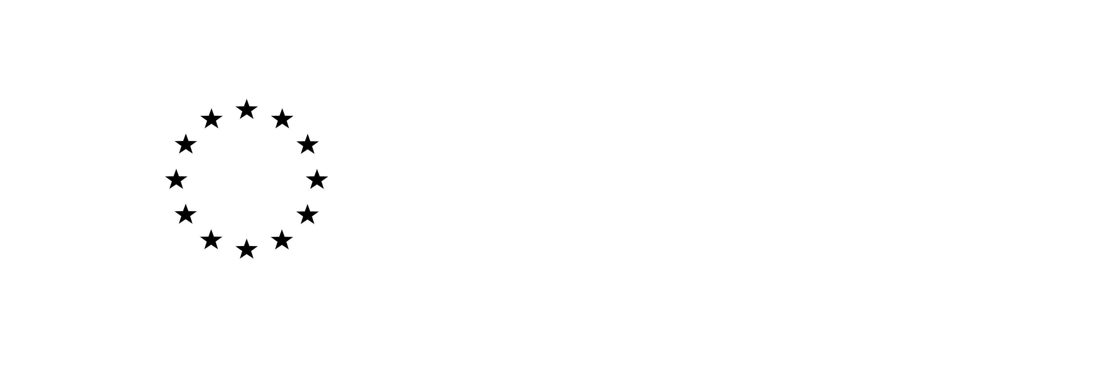 Co-funded by the European Union