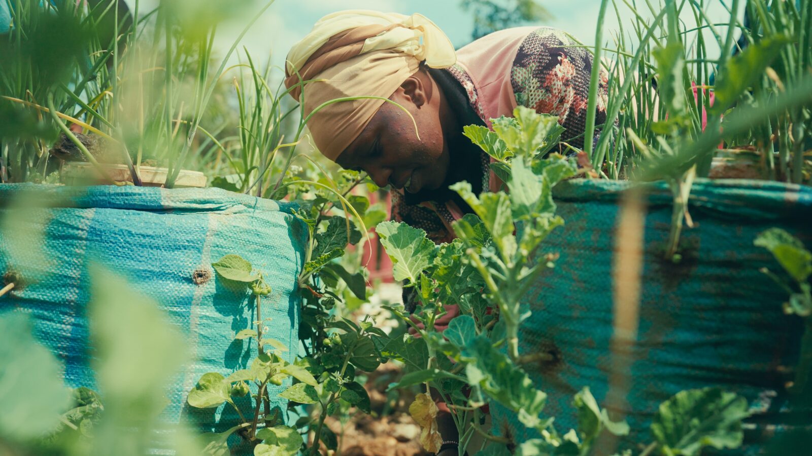 Mathare Slums Community Association