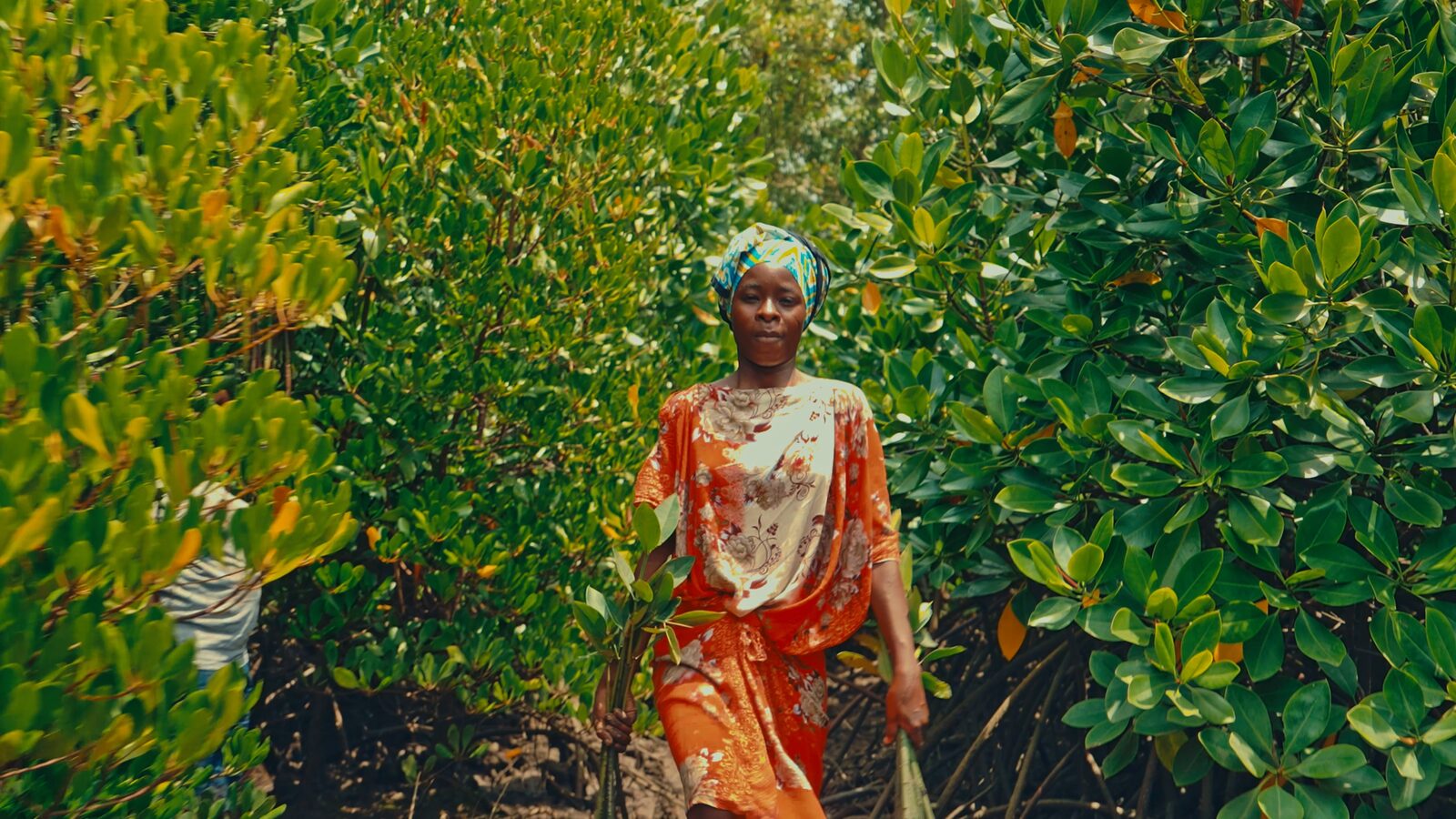 Mikoko of Kenya · Youth Pawa